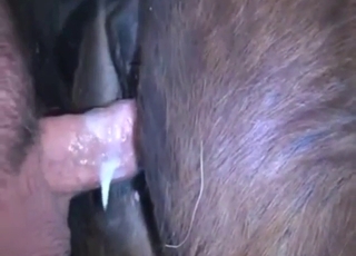 Breeding fetish bestiality sex scene with gape