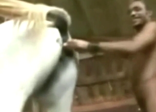 Confident zoophile wants to gape the mare hole