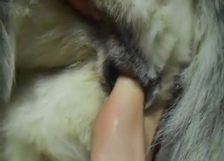 Initiating bestiality sex by shoving a toe in ass