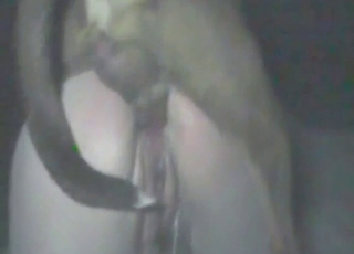 Doggystyle zoophile fuck with a slutty lady