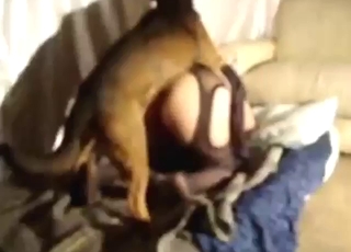 Pantyhose-wearing lady enjoys zoo XXX gape