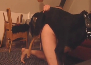 Guy's hot asshole pounded by a black dog