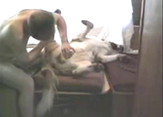 Screwing that slutty animal is the best for him