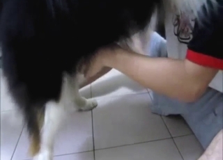 Dog enjoys a nice jerk-off sesh with a creep