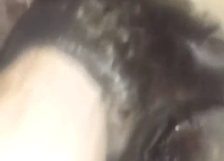 Bestiality porn anal shows that asshole stretched