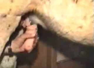 Zoophile porn featuring a horse that needs JERKING
