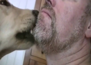 Zoophile porn shows a guy taking dog cock