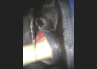 Zoo sex with fisting, the guy is happy to cum