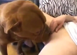 Hot zoo XXX with a lady who gets licked by dog