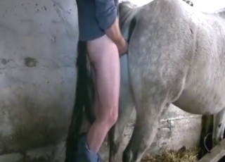 Mad bestiality sex with close-up orgasms