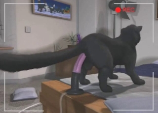 Every zoophile wants a horse-riding panther