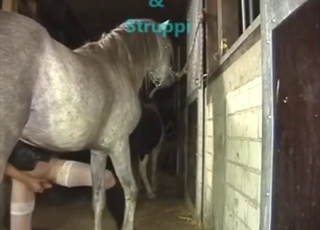 Close-up and kinky bestiality porn with ASS GAPE