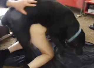 Multi-orgasmic zoo XXX with the family dog