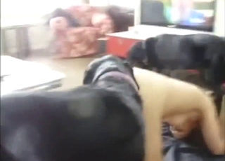 Multi-orgasmic zoo XXX with the family dog