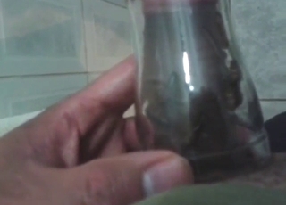 Dude gets his dick pleased by a bunch of crickets