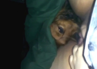 Wet-as-fuck lady gets licked by a sexy beast