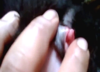 Animal clit looks hot as fuck in a close-up movie