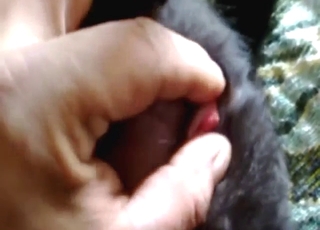 Animal clit looks hot as fuck in a close-up movie