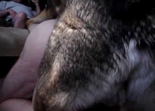 Kinky animal gets banged hard from behind here