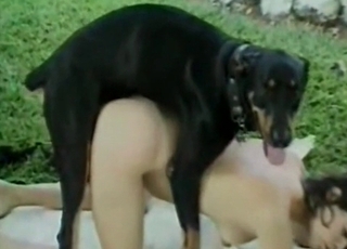 Slender fuckslut is enjoying a big black rear end