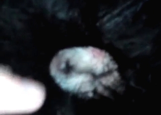 Doggy's tight twat looks so damn fuckable