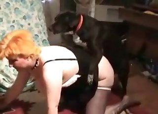 Doggy style fucking with hounds in this great video