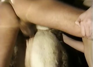 A white animal from the farm gets banged from behind
