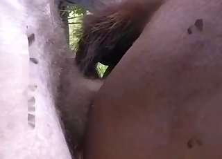 Sexy horse is getting nicely fucked by a lusty farmer