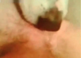 Zoophile receives a rimjob from a really horny doggo