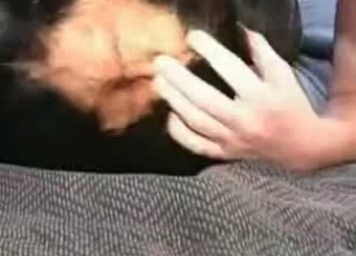 Zoophile takes the bestiality virginity of a dog