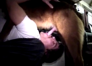 Absolutely amazing amateur bestiality sex session