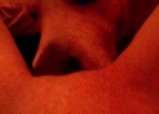 Voluptuous and wet cunnilingus by a sexy doggy
