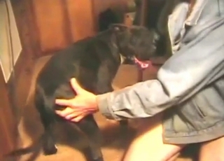 Screwing a doggy with my fingers only