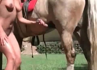 Abnormal horse sex action at the senior farm