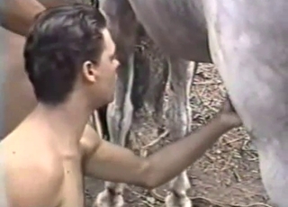 Dude with tanned skin is sucking a horse boner