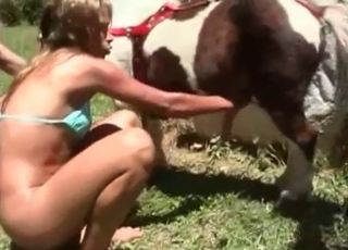 Nice young horse and obscene as hell zoophiles