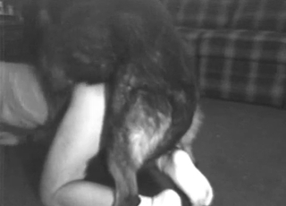 Bestial porn in black & white vintage theme