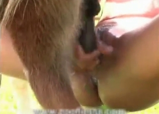 The cock of this stallion is totally worshipped