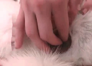 Handsome husky wants to totally stuff this tight pussy