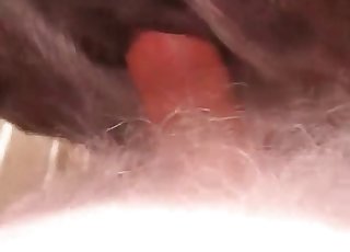 एक युवा घोड़े को पीटना