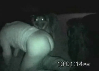 Dark time is best time for fucking amazing animals