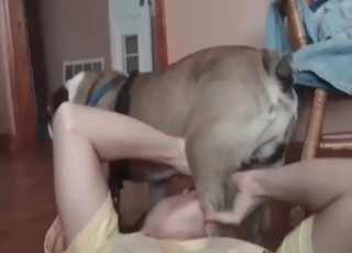 Amateur sex entertainment filed in lovely close up