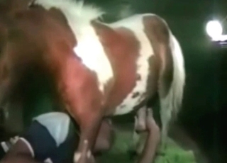 Amateur bestiality fun in this amazingly hot video