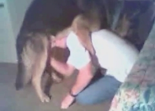 Filthy pooch having all sorts of kinky blowjob and handjob fun