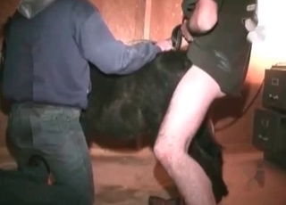 Incredibly filthy bestiality action is going on