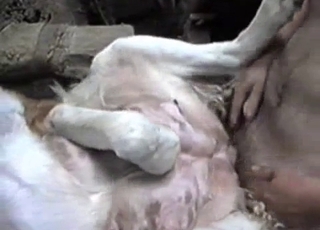 Amazing fuck-fest for a dude with an incredibly big cock