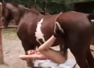 Slut having intense sex session in the classic sex position
