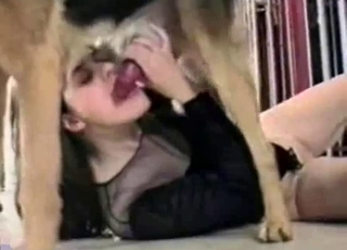 Amateur bestiality where a doggo gets a sloppy BJ