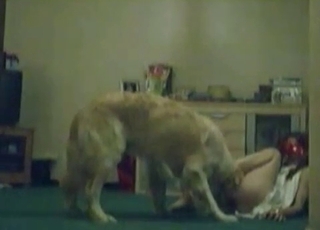 Amateur with a red mask gets properly banged by Tyke