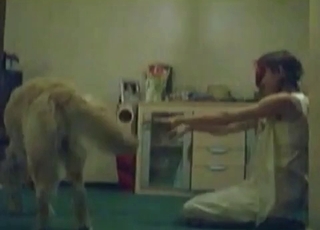 Amateur with a red mask gets properly banged by Tyke